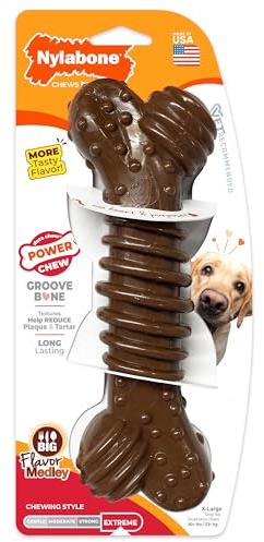 Nylabone Power Chew Dental Groove Bone Dog Chew Toy, Flavor Medley, X-Large