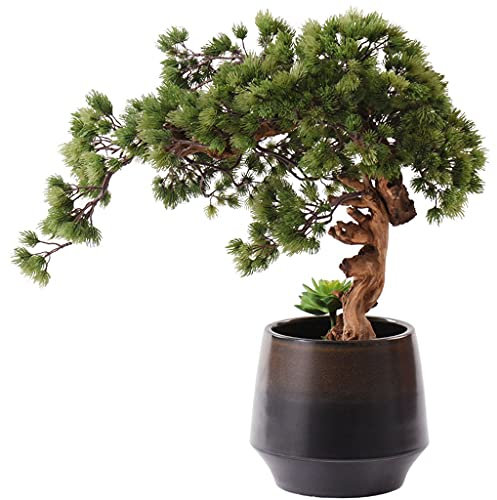 HIHELO Künstlicher Bonsai-Baum Künstliche Topfbaum Zen Begrüßung Kiefern Wurzel Orte Ornaments Hotel Lobby Dekoration Villa Büro Landschaft Simulation Bonsai Desktop Fake Plant Greenery Decor