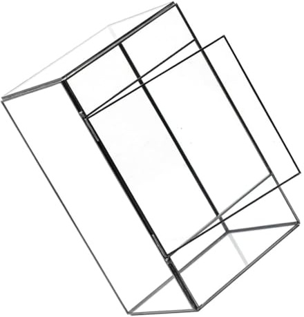 BESPORTBLE Terrario Pequeño De Vidrio para Suculentas y Musgo Maceta Ecológica Transparente para Micro Paisaje Soporte Decorativo para Mesa Escritorio Recipiente para Plantas