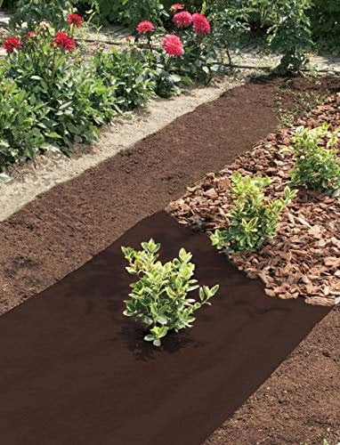 Nortene M115918 - Filet Nortene anti-herbes géotextile 1 60 x 10 m - 101435