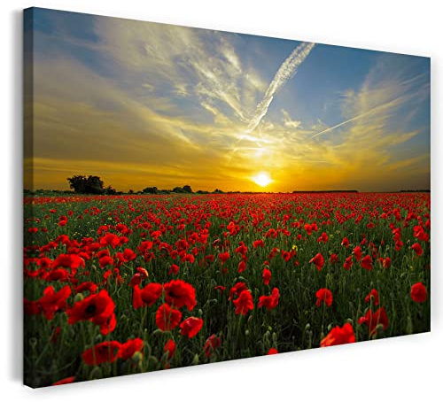Leinwand (100x70cm): Blumenbilder Mohnblume Mohnblumen-Feld bei Sonnenuntergang