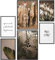 Papierschmiede® Mood Poster Set Boho Alpaka, Deko Bilder Wohnzimmer, 2x DIN A3 (ca. 30x42) und 4x DIN A4 (ca. 21x30), Lama Bohemian Aloe Vera - Wandposter ohne Rahmen
