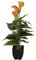Künstliche dekorative Calla Zantedeschia 43cm hoch mit gelb orangen Blüten im bemoosten Topf
