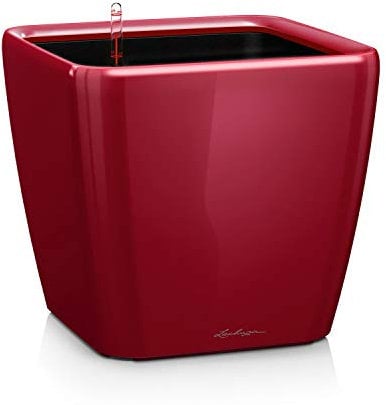 LECHUZA QUADRO Premium LS 21 scarlet rot hochglanz 16127