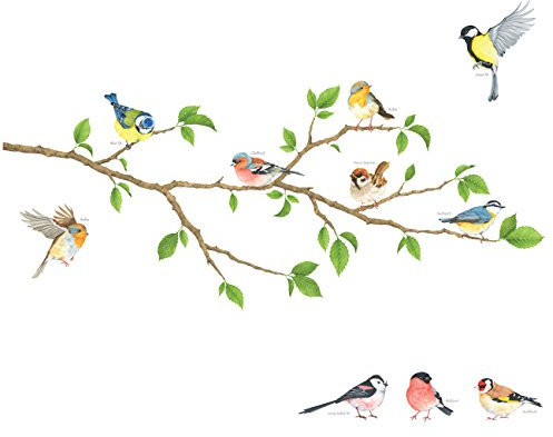 DECOWALL DA-1804 Garten Vögel auf Ast Wandtattoo Wandsticker Wandaufkleber Wanddeko für Wohnzimmer Schlafzimmer Kinderzimmer