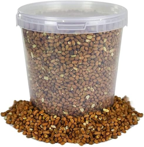 BusyBeaks Premium Whole Peanuts (5L) for Wild Birds - High-Energy Bird Food & Nuts - Natural, Aflatoxin Free Wild Bird Peanuts, Nutritious Feed for Garden Birds & Squirrels