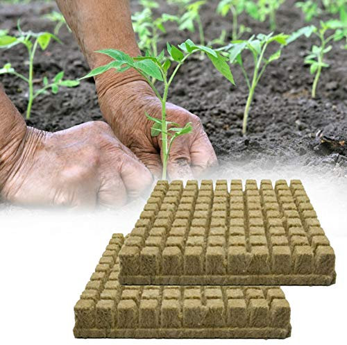 FONDUO Quell Tabletten Torf Quelltöpfe Pflanzen Anzucht, Aussaaterde Anzuchterde Torftablette, Minigewächshäuser Fensterbank|Quelltabletten, Vermehrung Klonen Seed Raising (50pcs)