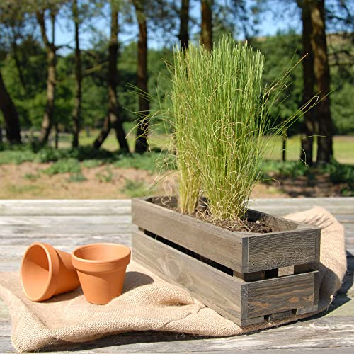 Vintage Fruit Crate Style Narrow Garden Trough Planters Boxes (Small)