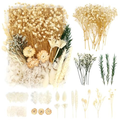 WenmthG Trockenblumen weiß, Natürlich Gepresste Pflanzen und Getrocknete Blumen Mix Set