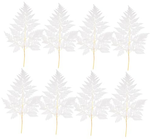 HOOTNEE Bündel Getrocknete Dekorative Pflanzen für Hochzeiten Selbstgemacht Tischdeko Pflegeleichte Wohnaccessoires 10 Stück Ewige Pflanzen Ornamente