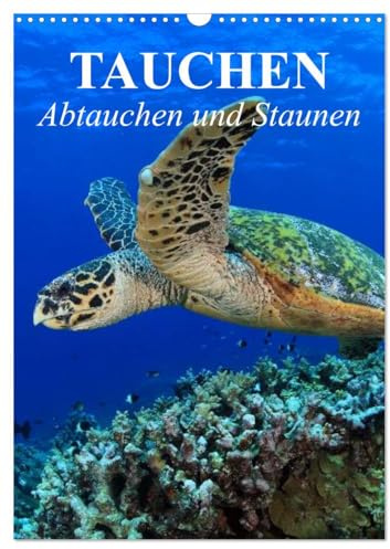 Tauchen - Abtauchen und Staunen (Wandkalender 2026 DIN A3 hoch), CALVENDO Monatskalender: Abtauchen in die faszinierende Unterwasserwelt unserer Meere (CALVENDO Natur)