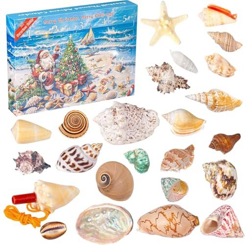 Adventskalender 2025 Muschel Kinder mit 24 Tage Countdown Kalender, Muscheln Weihnachten Geschenk Advent Calendar, Muscheln Adventskalender für Jungen Mädchen