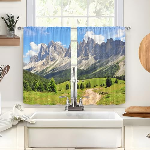 Odot 2 Paneele Bistrogardine, Scheibengardine Küchengardinen mit Stangendurchzug, Vorhänge Wohnzimmer, Natürliche Landschaft Gardinen Kurz für Küchen Esszimmer Badezimmer (Rasen,60x45cm)