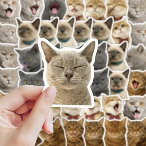 LYunMu Katze Aufkleber 50 Stücke Niedlich Deko für Auto Laptop Skateboard Fahrrad Moped Motorrad Fahrrad Computer,Geeignet für Erwachsene Cat ästhetisch Sticker Set