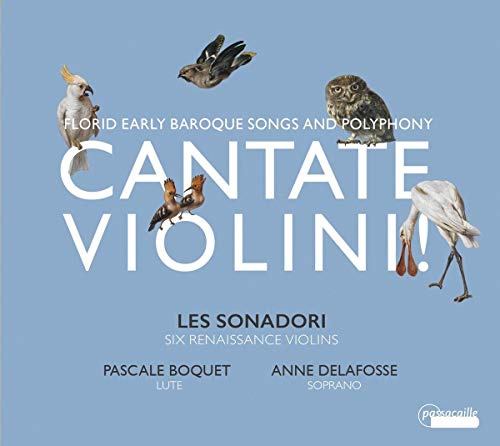Florid Early Baroque Songs And Polyphony