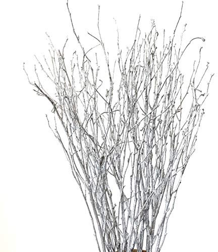 DongArts Dekorative Birkenzweige 58,4 cm, Zweige für Hochzeitsdekoration, getrocknete Zweige für Weihnachtsdekoration (Metallic-Silber)