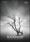 Black & White 2023 - Bildkalender 50x70 cm - Wandkalender XL - schwarz-weiß - Kunst - Hochformat - Palazzi: Fine Art Photography