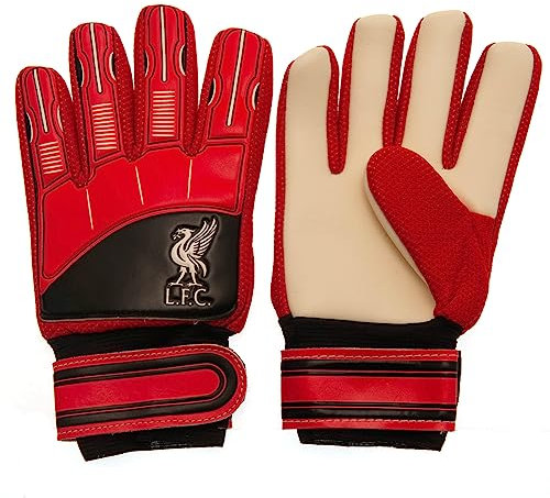 Hy-Pro Team Merchandise Torwarthandschuhe – Jugend