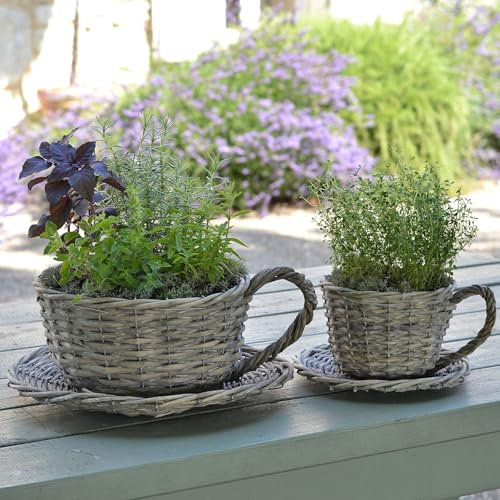 Plant Pots Set of 2 Pack, Plant Pots Indoor with Saucer Plants Flower Container Handmade, Decorative for Indoor Outdoor Garden Planters, Flower Pots for Plants for House Garden Windowsill Bedroom