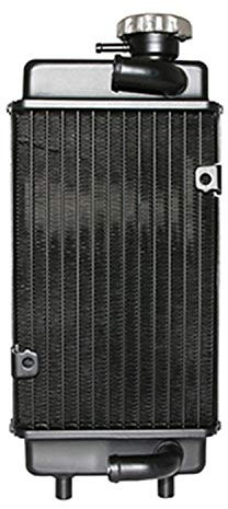 Radiateur de refroidissement pour moto Minarelli 50 AM6 Neuf DG170617