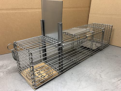 Cage piège Rats à Trou