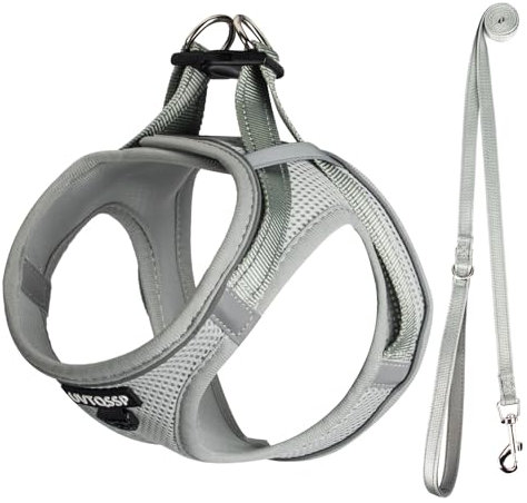 UVTQSSP Hundegeschirr Kleine Hunde mit Leine Gepolstert, Welpengeschirr, Dog Harness Hunde Geschirr Klein, Grau XS