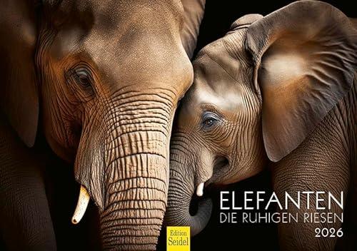 Edition Seidel Premium Kalender Elefanten Die ruhigen Riesen 2026 Format DIN A5 Wandkalender Tierkalender Natur Steppe Wasser Elefant Kuh Bulle Kalb Herde Wildtiere