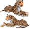 TE-Trend Leopard Kuscheltier XXL Plüschtier Stofftier liegend Design Deko Raubkatze Großkatze Spielzeug 80cm Mehrfarbig