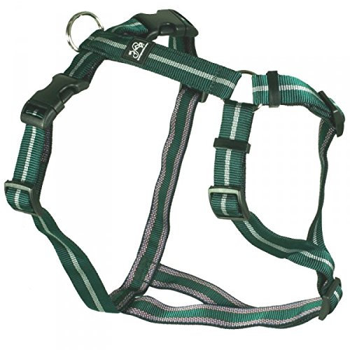 Feltmann Hundegeschirr - Soft-Nylonband, grün Streifen, Bauchumfang 55-75 cm, 20 mm Bandbreite