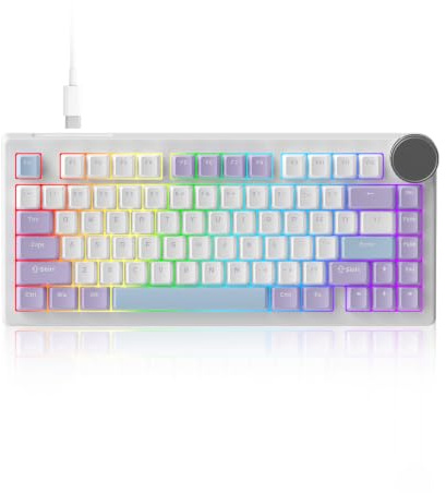 AK820 V2 8KHz Magnetische mechanische Tastatur Bingyu Hall-Effekt Rapid | 0,01 mm verstellbare Betätigung, Dichtungshalterung, RGB-Metallknopf, USB-C-Verkabelt, 75 % Hot-Swappable, Blau Weiß Lila
