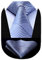 HISDERN Krawatten Blau Herren Hochzeit Krawatte mit Einstecktuch Klassisch Business Krawatte & Taschentuch Set