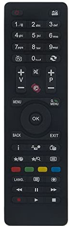 Vinabty RC4849 Tute sostitutive per telecomando E compatibile con Celcus CEL-32HDRB16 / 1 CEL-22FHDDB-16/1 Telefunken JVC Finlux Sharp LOGIK L24HEDW15 Funziona con vari TV di marca