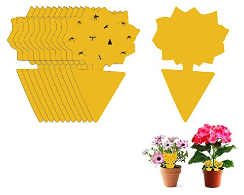 Fruit Fly Sticky Trap, 48PCS Fungus Gnat Traps Insect Trap, yellow sticker protection plant for Kitchen Indoor Outdoor Catch White Flies Mosquitos Fungus Flying Insects Houseplant (Banyan tree)