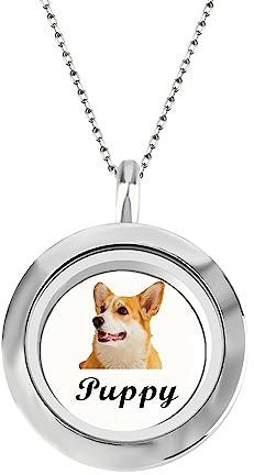 Benutzerdefinierte Bild Halskette personalisierte Haustier Pelz Medaillon Anhänger personalisierte Urne Halskette für Asche, Foto graviert Halskette, Pet Memorial Hund Katze Schmuck Geschenk