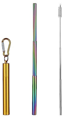 Stainless Steel Foldable Reusable Drink Straw with Brush in a Keyring Case (Gold)