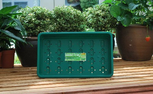 Garland GAL48FHG6 Standard Full-Size Seed Trays with Holes - Green (6-Piece), 38x11x24 cm