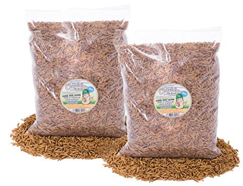 Chubby Mealworms Dried Calci Worms for Hedgehog (10 Kg), Calciworms Treats with More Calcium than Meal Worms, Dried Black Soldier Fly Larvae Food for Wild Life