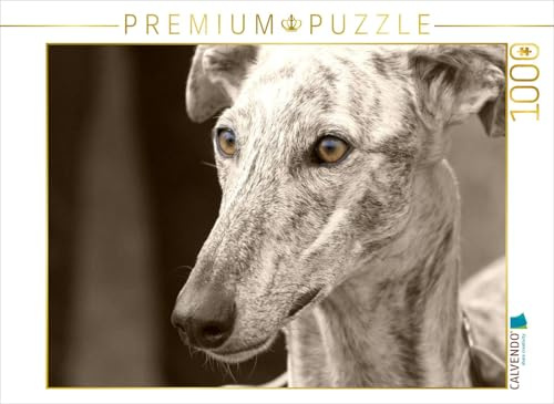 CALVENDO Puzzle Galgo Español | 1000 Teile Lege-Größe 64 x 48 cm Foto-Puzzle für glückliche Stunden