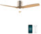 Cecotec Ventilador de Techo con Luz EnergySilence Aero 5600 Aqua GoldLightWood Connected. 40W, 52”, Wifi, Mando, Protección IP44, 6 Velocidades, 3 Aspas, Modo winter-summer, Temporizador 8h