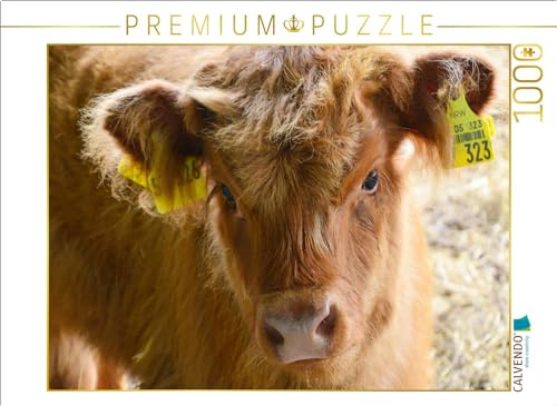 CALVENDO Puzzle Kälber - Kleine Herzensbrecher auf den Wiesen | 1000 Teile Lege-Größe 64 x 48 cm Foto-Puzzle für glückliche Stunden