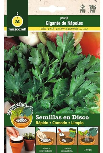 Mascarell Semillas, PEREJIL GIGANTE DE ITALIA, Cultiva Fácil, Crea tu Propio Huerto en Casa, Contiene 3 Discos 8 CM