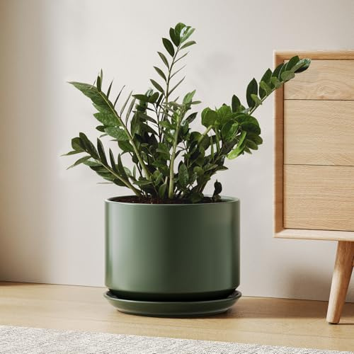 LE TAUCI Ceramic Plant Pot, 25 cm, Indoor Plant Pot, with Saucer, Green | Ceramic Plant Pots Indoor, with Non-Detachable Saucer, Drainage Hole, Mesh Pad, Modern Decor for Living Room and Entryway