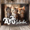 Yuandream Kalender 2025 Katze, Familienkalender Katzenkalender 2025, 3 Kätzchen Lustiger Katzenkalender 2025, Cat Calendar 2025 Katze Wandkalender Kalender für Büro, Familien, Hotels
