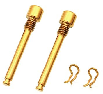 LIANCHEN 2 Pcs Tornillo de Pinza De Freno de Disco M4 Pernos de Pinza de Aleación de Titanio Tornillo de Perno de Pastilla de Freno Accesorios para Pernos de Freno Bicicletas (Oro)