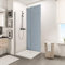 Schulte 1 panneau mural 90 x 210 cm, épaisseur 3 mm, surface 1.89 m², gris-argenté, revêtement salle de bain douche, résistant aux rayures, livré avec adhésif double face
