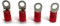 eXODA Cavo capocorda da 25mm2 a 35mm2 M10 isolato 4x occhiello ad anello Occhiello a pressione per cavo ba
