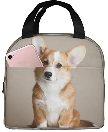 Corgi Dog-Beige Lonchera aislada para mujeres y hombres, bolsa de mano ligera y duradera para la oficina y la escuela