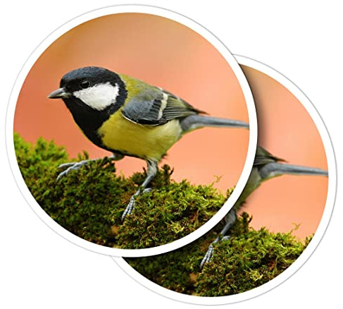 Vinyl-Aufkleber, rund, 10 cm, Kohlmeise Parus Major, Gartenvogel für Laptops, Tablets, Gepäck, Scrapbooking, Kühlschränke #51071