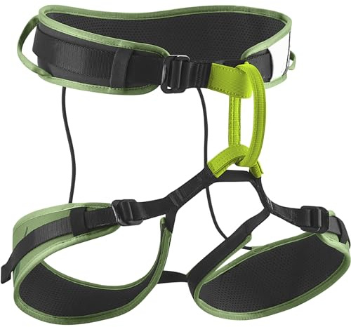EDELRID Unisex Zack Gym Klettergurt, pine green, L-XL
