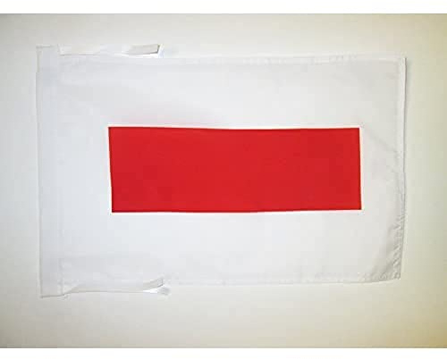 AZ FLAG Flagge Emirat Schardscha 45x30 cm Polyester 100D Kordeln | Für innen und außen Shariqah dekorative Flagge doppelte Nähte und verstärkte Kanten mit Schnüre 100D Polyester